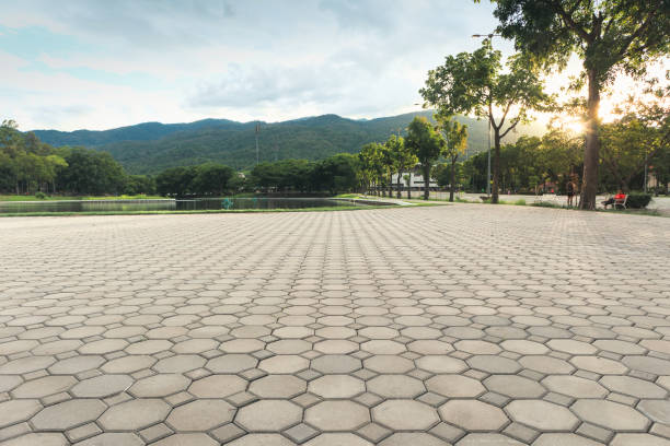 Best Commercial Driveway Pavers  in Lakemoor, IL